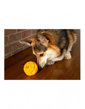 kiwipet-brinquedo-starmark-tetraflex-cao