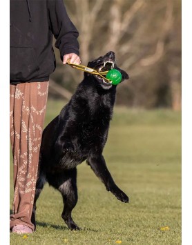 kiwipet-brinquedo-starmark-gripcord-chew-ball-loop-utilizacao