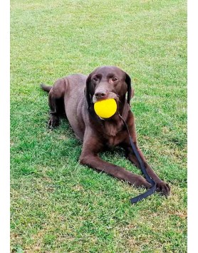 kiwipet-brinquedo-starmark-gripcord-durafoam-ball-cord-detalhe