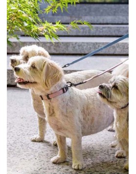 kiwipet-coleira-fuzzyard-cao-soft-blush