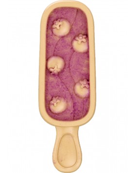 kiwipet-snack-petfield-cao-tasty-chew-summer-gelados-roxo-mirtilo