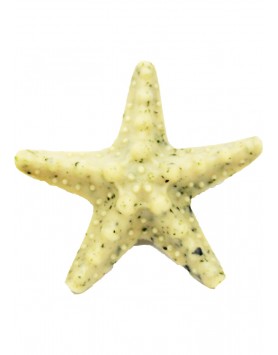 kiwipet-snack-petfield-cao-tasty-chew-frutos-do-mar-branco-estrela-do-mar