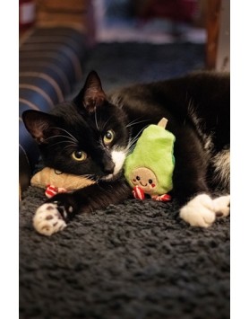 kiwipet-rosewood-gato-xmas-avocado-croissant-festive-detalhe