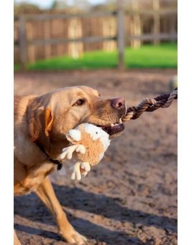 kiwipet-brinquedo-rosewood-cao-brinquedo-natal-rena-rod-utilizacao