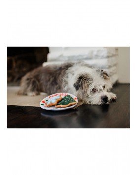 kiwipet-brinquedo-play-cao-merry-woofmas-cookies-for-santa-cao