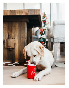 kiwipet-brinquedo-play-cao-hollyday-classic-hot-chocolate-utilizacao