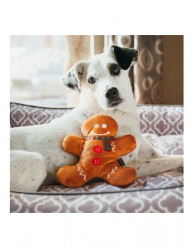 kiwipet-brinquedo-play-cao-hollyday-classic-gingerbread-man-detalhe