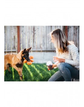 kiwipet-brinquedo-play-cao-hollyday-classic-gingerbread-man-cao