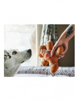 kiwipet-brinquedo-play-cao-hollyday-classic-gingerbread-man-utilizacao