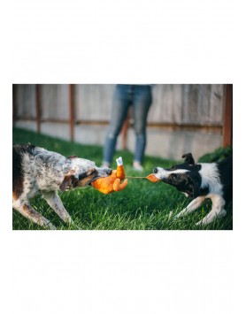 kiwipet-brinquedo-play-cao-hollyday-classic-whole-turkey-cao