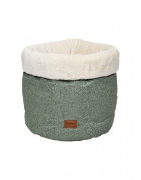 kiwipet-cama-playfield-cao-dreams-arkansas-hunter-green