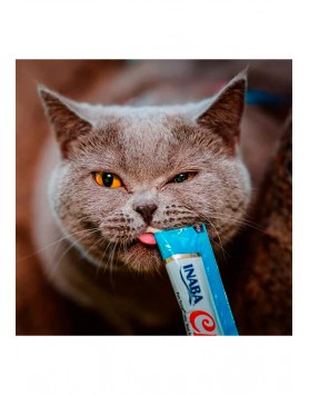 kiwipet-snack-churu-gato-textura-pormenor