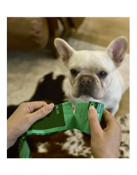 kiwipet-green-sheep-cao-sacos-dejetos-utilizacao