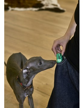 kiwipet-green-sheep-cao-sacos-dejetos-cao