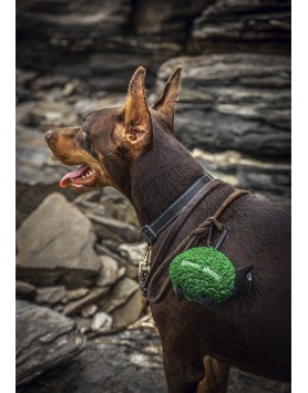 kiwipet-green-sheep-cao-dispensador-sacos-dejetos-verde-utilizacao