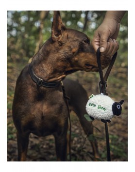 kiwipet-green-sheep-cao-dispensador-sacos-dejetos-branco-demonstracao-cao