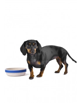 kiwipet-comedouro-green-sheep-cao-plastico-reciclado-azul-utilizacao