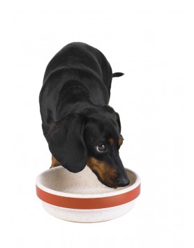 kiwipet-comedouro-green-sheep-cao-plastico-reciclado-laranja-utilizacao