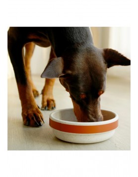 kiwipet-comedouro-green-sheep-cao-plastico-reciclado-laranja-demonstracao