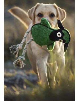 kiwipet-brinquedo-green-sheep-cao-ovelha-verde-utilizacao-cao