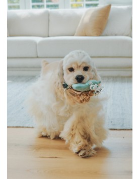 kiwipet-brinquedo-green-sheep-cao-stuffing-free-avacado-utilizacao