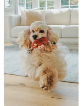 kiwipet-brinquedo-green-sheep-cao-stuffing-free-mushroom-demonstracao