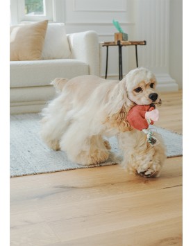 kiwipet-brinquedo-green-sheep-cao-stuffing-free-mushroom-cao