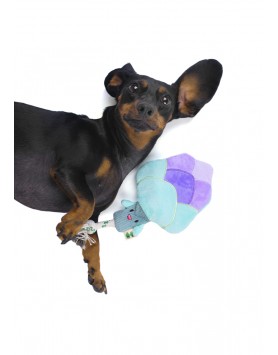 kiwipet-brinquedo-green-sheep-cao-stuffing-free-asparagus-utilizacao