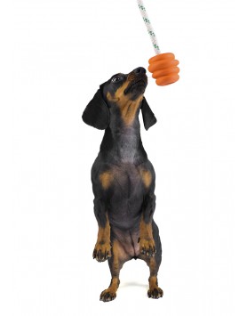 kiwipet-brinquedo-green-sheep-cao-corda-bola-borracha-laranja-cao