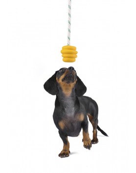 kiwipet-brinquedo-green-sheep-cao-corda-bola-borracha-amarelo-utilizacao