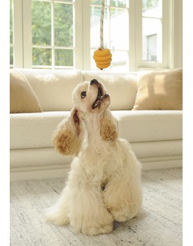 kiwipet-brinquedo-green-sheep-cao-corda-bola-borracha-amarelo-demonstracao