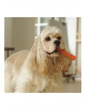 kiwipet-brinquedo-green-sheep-cao-osso-borracha-laranja-utilizacao