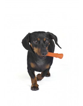 kiwipet-brinquedo-green-sheep-cao-osso-borracha-laranja-utilizacao-cao