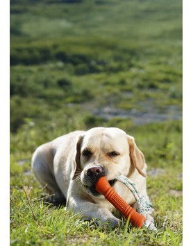 kiwipet-brinquedo-green-sheep-cao-corda-osso-borracha-laranja-cao