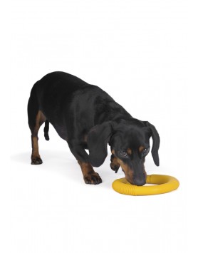 kiwipet-brinquedo-green-sheep-cao-argola-borracha-amarelo-utilizacao