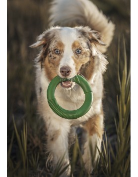 kiwipet-brinquedo-green-sheep-cao-argola-borracha-verde-utilizacao