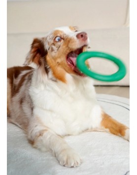 kiwipet-brinquedo-green-sheep-cao-argola-borracha-verde-detalhe