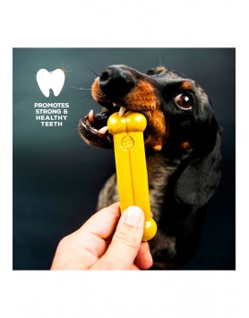 kiwipet-brinquedo-tastybone-cao-osso-nylon-frango-pequeno-dental