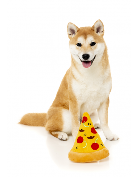 kiwipet-brinquedo-fuzzyard-cao-peluche-pizza-slice-detalhe