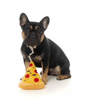 kiwipet-brinquedo-fuzzyard-cao-peluche-pizza-slice-utilizacao