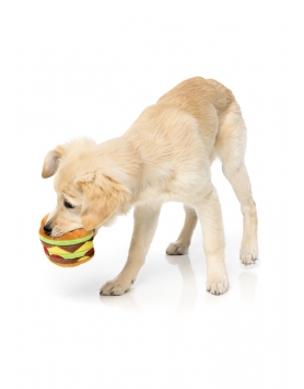kiwipet-brinquedo-fuzzyard-cao-peluche-hamburguer-utilizacao
