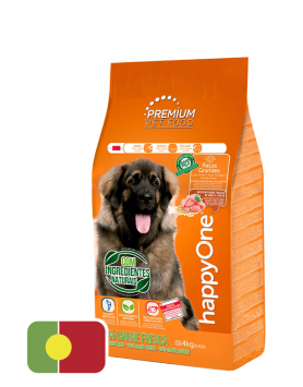 kiwipet-racao-seca-happyone-premium-cao-adulto-4kg-racas-grandes