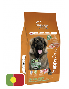 kiwipet-racao-seca-happyone-premium-cao-adulto-4kg-racas-grandes-lado