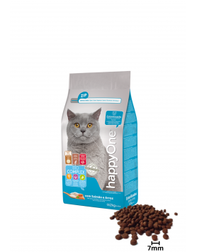 kiwipet-racao-happyone-gato-adulto-2kg-seca-esterilizado-salmao-detalhe