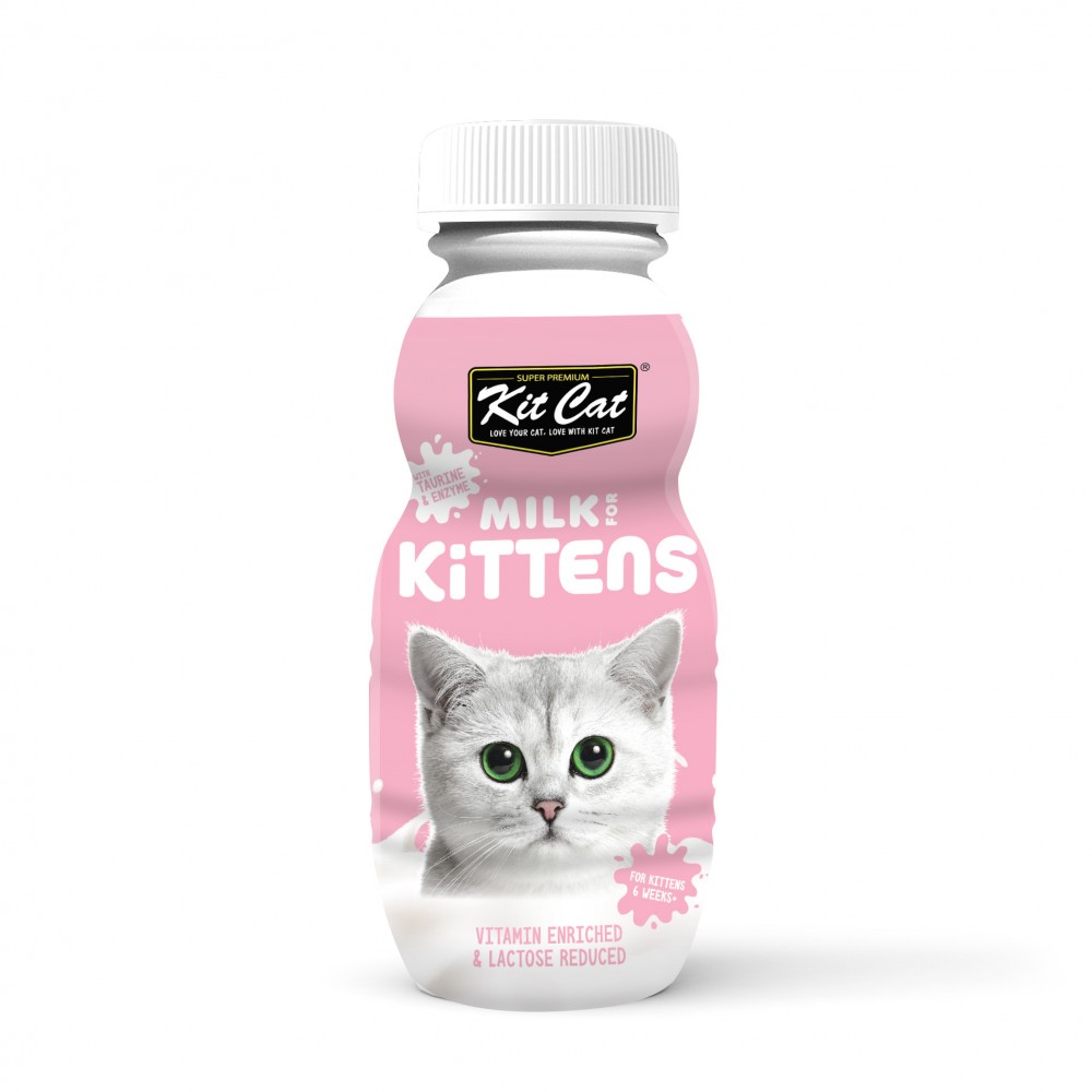 Kit Cat Milk Leite para gatinhos 250ml