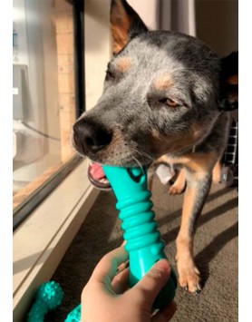 kiwipet-escova-dental-tastybone-cao-brinquedo-hortela-pimenta-utilizacao