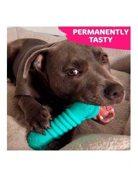 kiwipet-escova-dental-tastybone-cao-brinquedo-hortela-pimenta