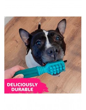 kiwipet-escova-dental-tastybone-cao-brinquedo-tastybrush-menta-fresca