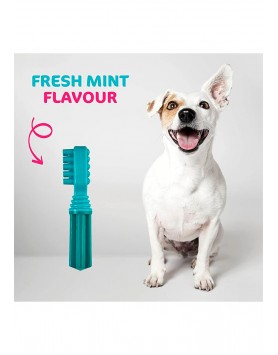 kiwipet-escova-dental-tastybone-cao-brinquedo-tastybrush-menta-fresca-detalhe