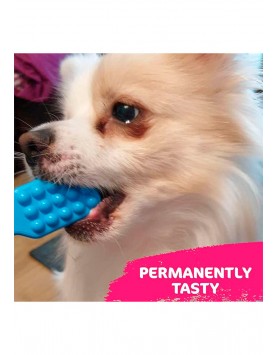 kiwipet-escova-dental-tastybone-cao-brinquedo-tastybrush-hortela-verde-utilizacao